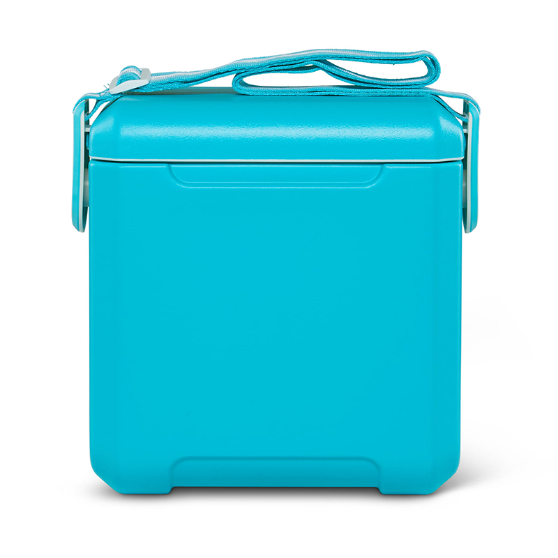 11 qt Tag A Long Hard Sided Cooler Turquoise compass