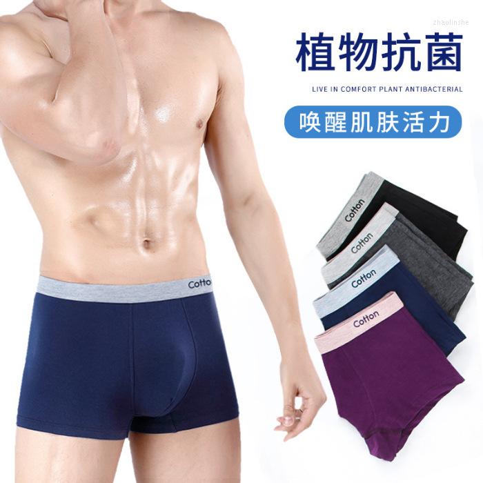 Underpants Pure Cotton Seemless MEN'S Boxers Printed Underwear Mixed Colors U Convex Wholesale, 06803 dark purple
Underpants Pure Cotton Seemless MEN'S Boxers Printed Underwear Mixed Colors U Convex Wholesale, 06803 dark purple