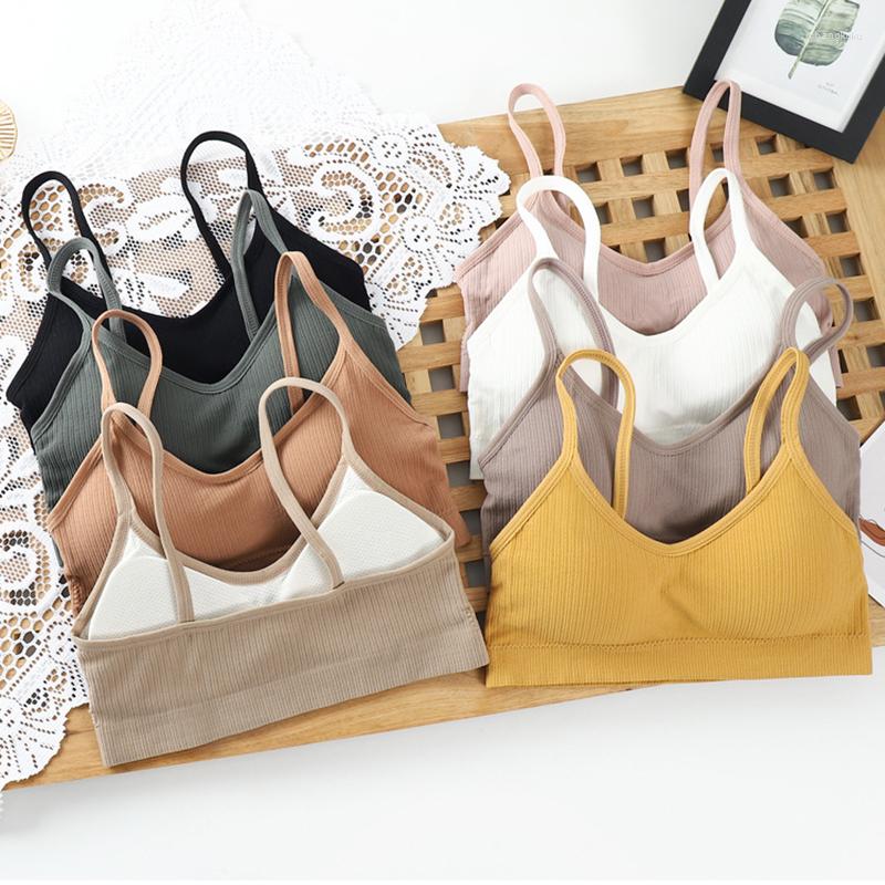 Bras Women Seamless Bra Bralette Wireless Soild Padded Brassiere Tube Top Female Intimate Push Up Underwear Yoga Sport, Khaki bra
Bras Women Seamless Bra Bralette Wireless Soild Padded Brassiere Tube Top Female Intimate Push Up Underwear Yoga Sport, Khaki bra