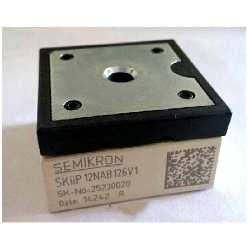 Parts Skiip12nab126v1 Skiip 12nab126v1 Skiip12nab066v1 Free Shipping New and Original Module
Parts Skiip12nab126v1 Skiip 12nab126v1 Skiip12nab066v1 Free Shipping New and Original Module