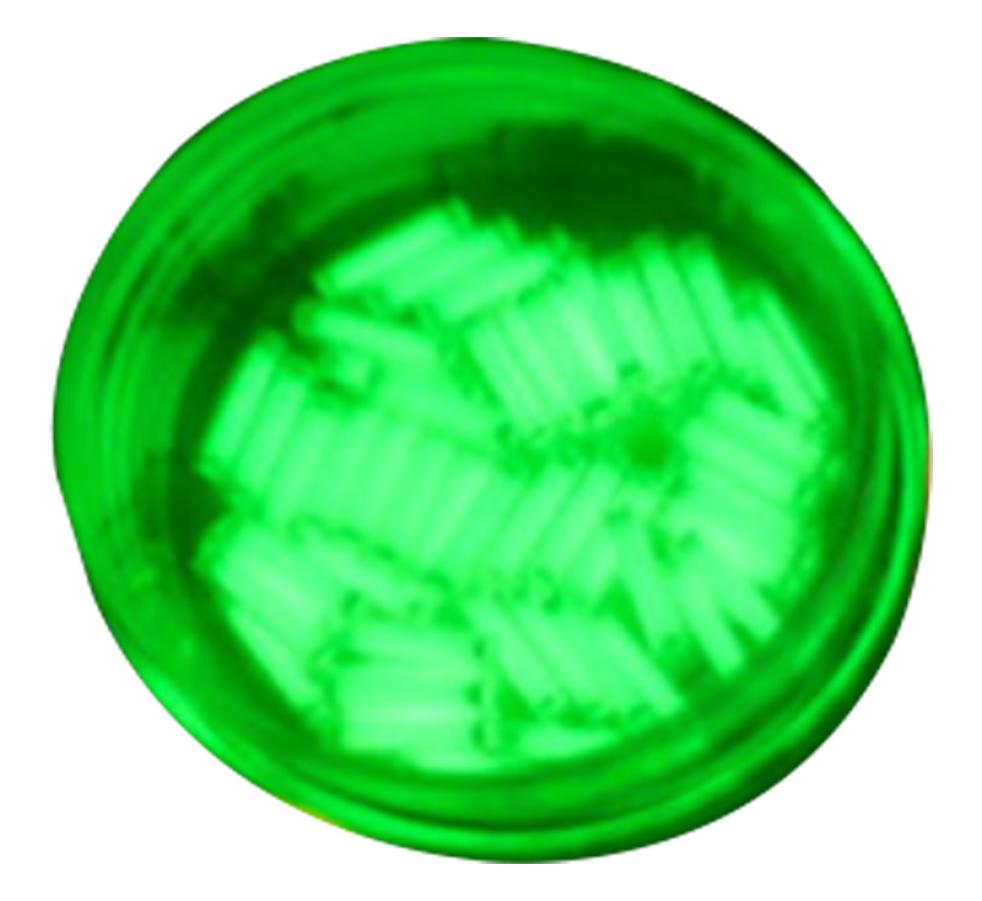 1Pc 15X6Mm Tritium Gas Tube Self Luminous 15 Years Of HighTech Products Edc Outdoor Camping Emergency Equipment Accessories2826826
1Pc 15X6Mm Tritium Gas Tube Self Luminous 15 Years Of HighTech Products Edc Outdoor Camping Emergency Equipment Accessories2826826