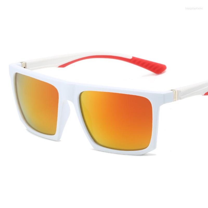 Sunglasses 2023 Luxury Sports Women Fashion Square Sun Glasses Men Brand Designer Vintage Bridge Driving Sunglass Oculos
Sunglasses 2023 Luxury Sports Women Fashion Square Sun Glasses Men Brand Designer Vintage Bridge Driving Sunglass Oculos