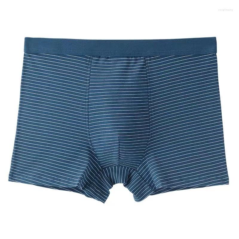 Underpants Men's Cotton Breathable Boxing Pants Sexy Striped Print Medium High Waist Comfortable Quadrangle 2023, 02
Underpants Men's Cotton Breathable Boxing Pants Sexy Striped Print Medium High Waist Comfortable Quadrangle 2023, 02