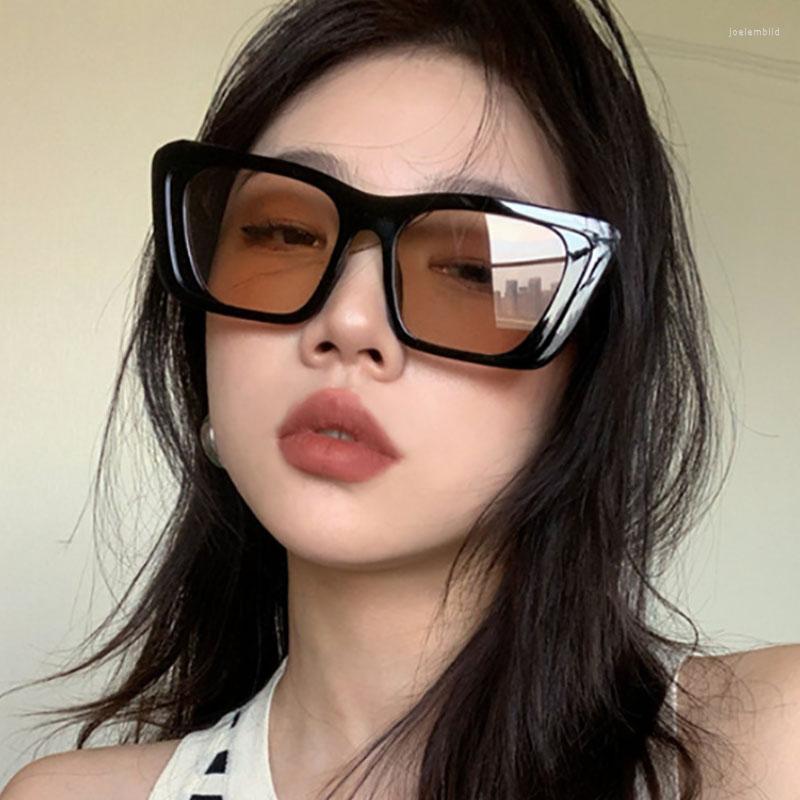 Sunglasses Retro Square For Women Fashion Punk Sun Glasses Female Black Travel Eyeglasses
Sunglasses Retro Square For Women Fashion Punk Sun Glasses Female Black Travel Eyeglasses