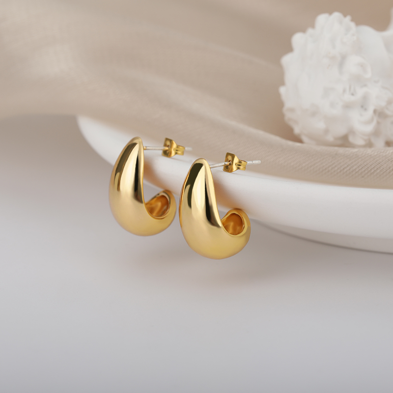 Stainless Steel Hook Earrings For Women Pin Minimalist Chic Baroque Style Elegant Female Jewelry Delicate Earring Gift 2023
Stainless Steel Hook Earrings For Women Pin Minimalist Chic Baroque Style Elegant Female Jewelry Delicate Earring Gift 2023