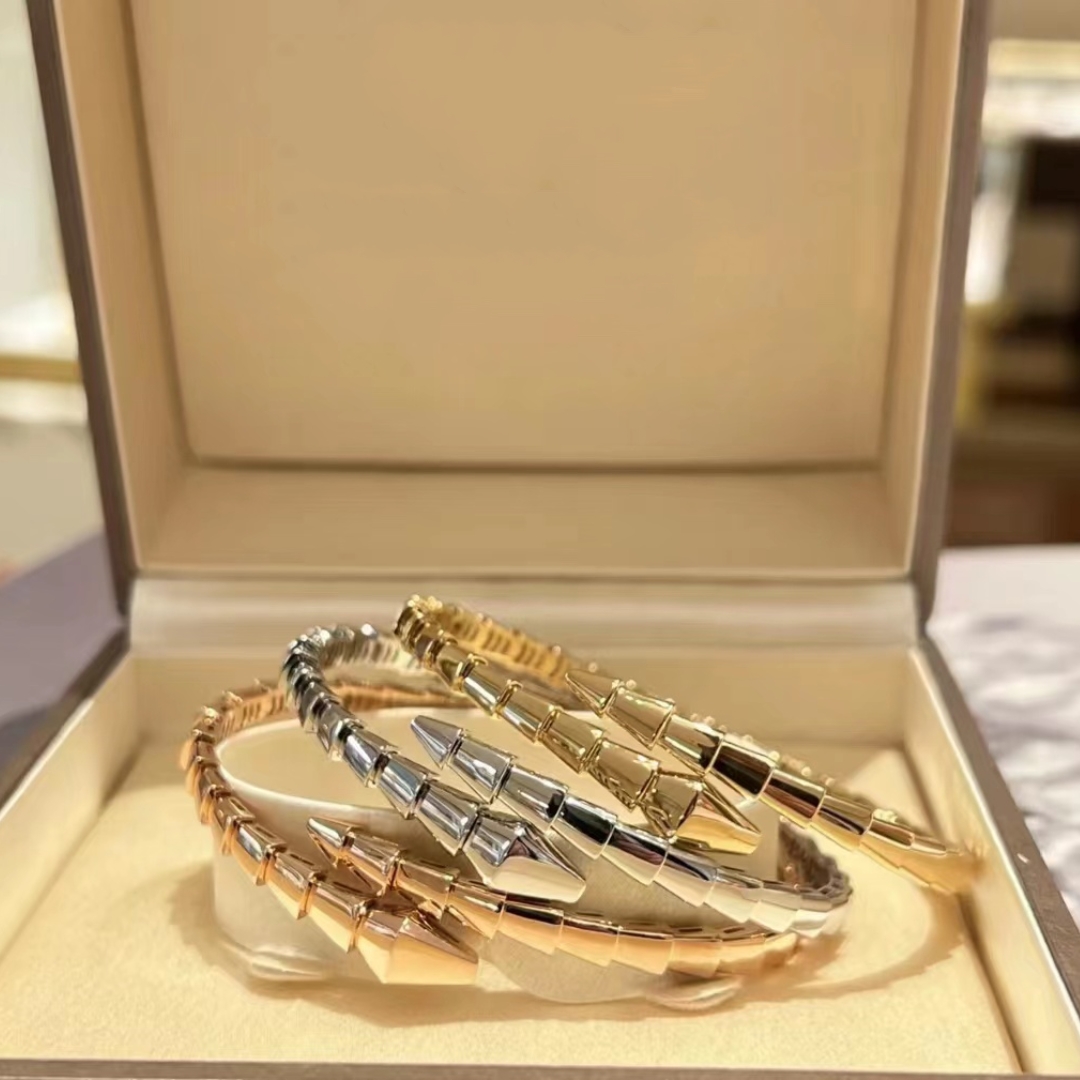 Designer Jewelry Narrow Single Circle Snake Designers Bracelet Gold Bracelets Bangle Party Birthday Gift High Quality TOSD