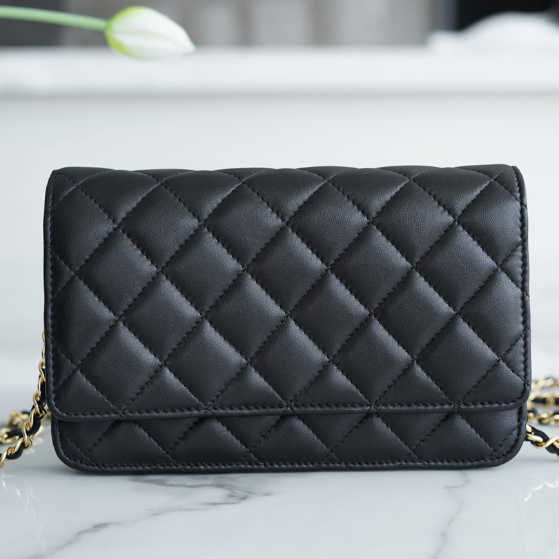 7A Top Quality Designer Bags Woc Wealth Luxury Women's Handbags Fashion Genuine Leather Purse, Light yellow caviar
7A Top Quality Designer Bags Woc Wealth Luxury Women's Handbags Fashion Genuine Leather Purse, Light yellow caviar