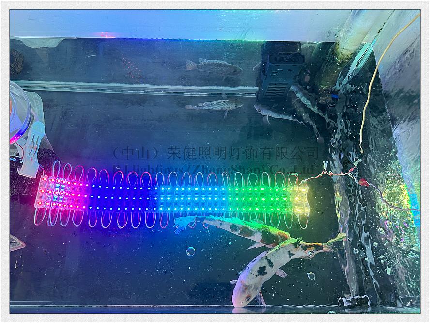 1000pcs addressable Full Color Magic Digital LED Light Module for sign advertising WS 2811 with IC WS2811 SMD 3030 DC12V 1.2W IP68 waterproof