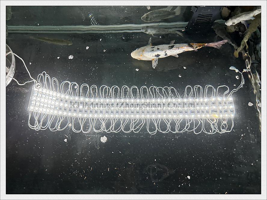 1000pcs 110V / 220V LED Light Module for Sign 67mm X 15mm SMD3030 2W waterproof IP68 Each Module can Cut can be connected in series less than 200pcs