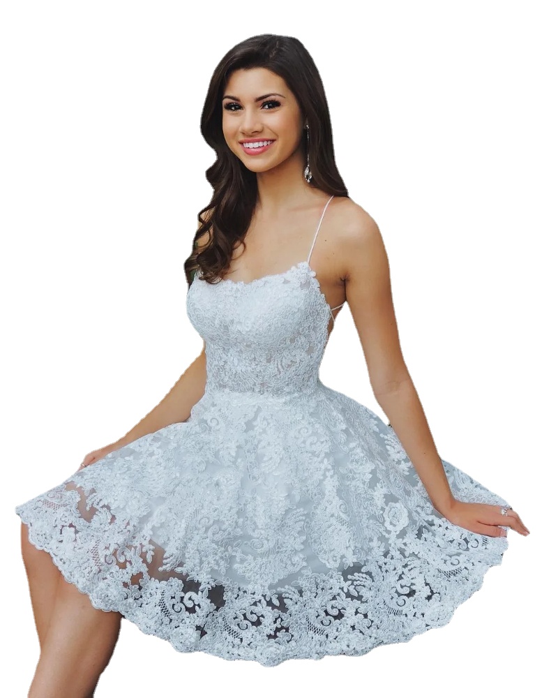 Halter Lace A-Line Homecoming Dresses Criss Cross Backless Short Knee Length Prom Cocktail Party Dresses Vestidos De Festa BM1538, Silver
Halter Lace A-Line Homecoming Dresses Criss Cross Backless Short Knee Length Prom Cocktail Party Dresses Vestidos De Festa BM1538, Silver