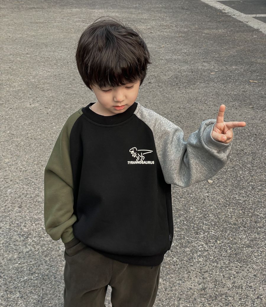 Children's Sweatshirt Winter New Boys' Pullover Round Neck Long Sleeve Loose Color Block Design Baby Clothing Outdoor Casual Dinosaur Print Suitable for ages 2 to 14, Black
Children's Sweatshirt Winter New Boys' Pullover Round Neck Long Sleeve Loose Color Block Design Baby Clothing Outdoor Casual Dinosaur Print Suitable for ages 2 to 14, Black