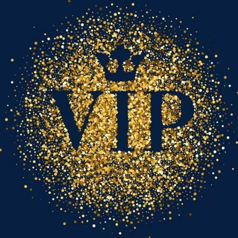 VIP Customer Customized Payment Link Sent By Party Favo DHL UPS FedEx