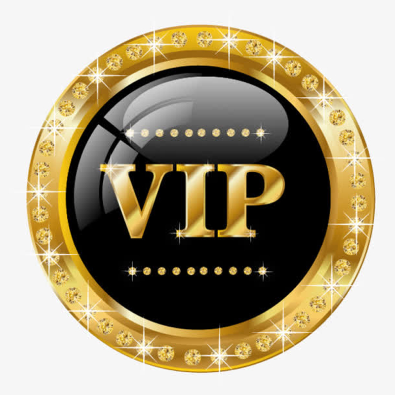 VIP Customer Customized Payment Link Sent By Party Favo DHL UPS FedEx