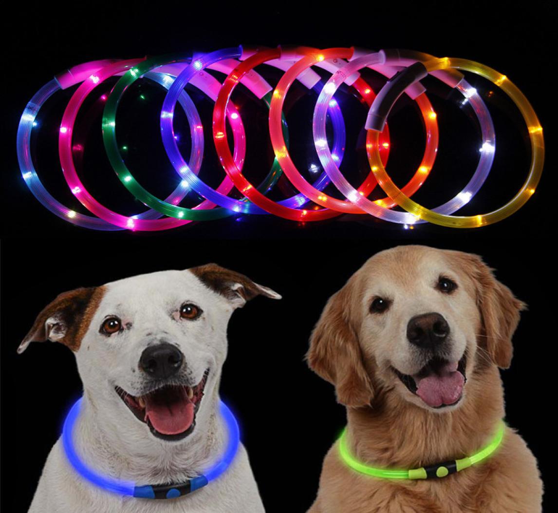 2021 test USB Charging Pet Dog Collar Rechargeable LED Tube Flashing Night Dogs Collars Luminous Puppy Cat Safety Collar With B7539486
2021 test USB Charging Pet Dog Collar Rechargeable LED Tube Flashing Night Dogs Collars Luminous Puppy Cat Safety Collar With B7539486