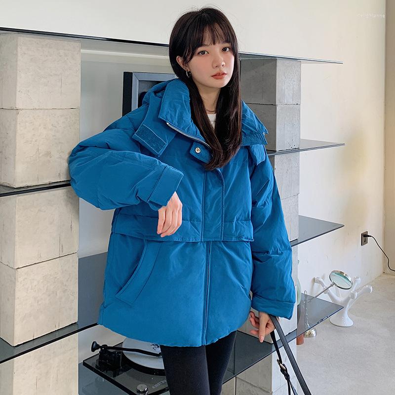 Women's Down Hooded Short Jacket Women Winter Design Sense Niche Loose Small Thick Tooling, Blue
Women's Down Hooded Short Jacket Women Winter Design Sense Niche Loose Small Thick Tooling, Blue