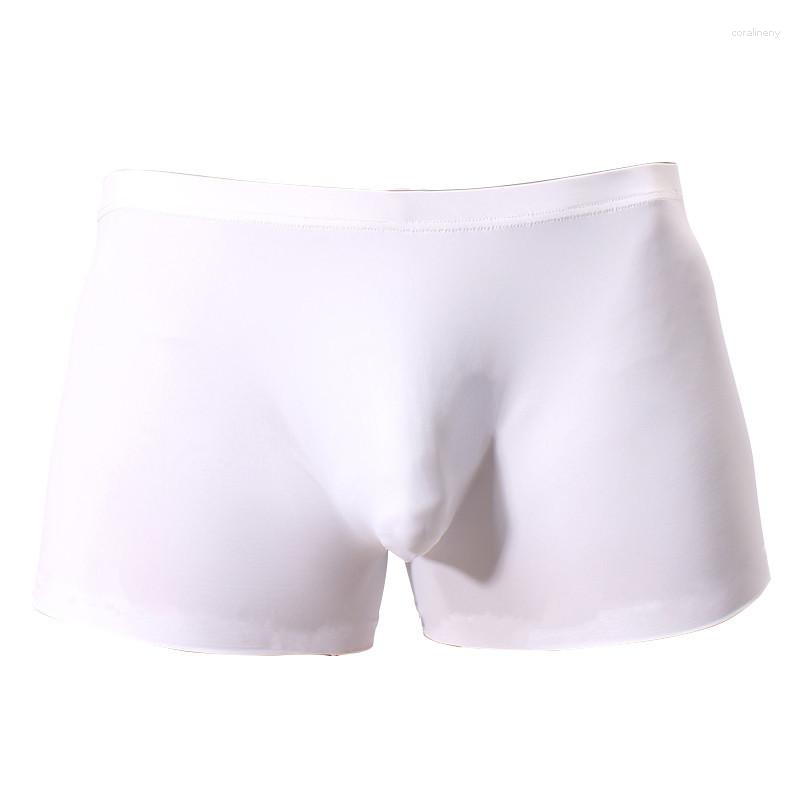 Underpants Mens Boxers Underwear Men Boxer Seamless Slip Homme Sexy Silk Shorts Transparent Cueca Masculina Male Mid-rise Pants, C blue
Underpants Mens Boxers Underwear Men Boxer Seamless Slip Homme Sexy Silk Shorts Transparent Cueca Masculina Male Mid-rise Pants, C blue