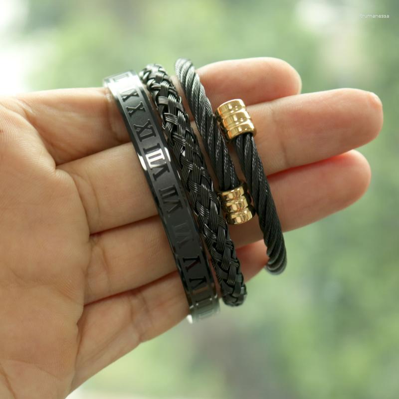 Bangle Borasi 3pcs/set Luxury 316L Stainless Steel Wristband Braiding Bangles Opening Cuff Bracelets For Men Amazing PriceBangle Raym22
Bangle Borasi 3pcs/set Luxury 316L Stainless Steel Wristband Braiding Bangles Opening Cuff Bracelets For Men Amazing PriceBangle Raym22