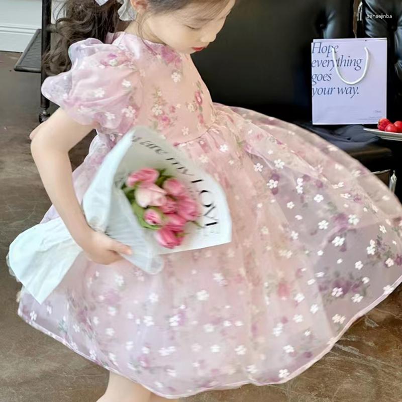 Girl Dresses Girls Clothes Summer Princess Puffy Short Sleeve Kids Dress Party Mesh Children Clothing 1-6Y, Blue
Girl Dresses Girls Clothes Summer Princess Puffy Short Sleeve Kids Dress Party Mesh Children Clothing 1-6Y, Blue