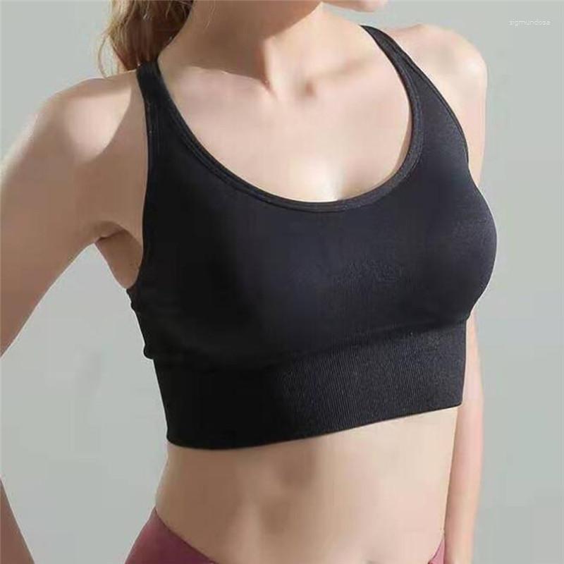 Active Shirts Women Sports Bra Push Up Crop Top Female Fitness Gym Hollow Breathable Sexy Running Yoga Athletic Sportswear, Pink
Active Shirts Women Sports Bra Push Up Crop Top Female Fitness Gym Hollow Breathable Sexy Running Yoga Athletic Sportswear, Pink