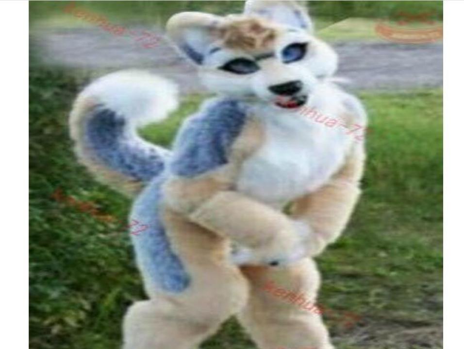 Fursuit Wolf Dog Husky Mascot Costume Cosplay Party Game Dress Outfit Advertising Halloween Adults Size Fursuit Character Xmas3525136, Gray
Fursuit Wolf Dog Husky Mascot Costume Cosplay Party Game Dress Outfit Advertising Halloween Adults Size Fursuit Character Xmas3525136, Gray