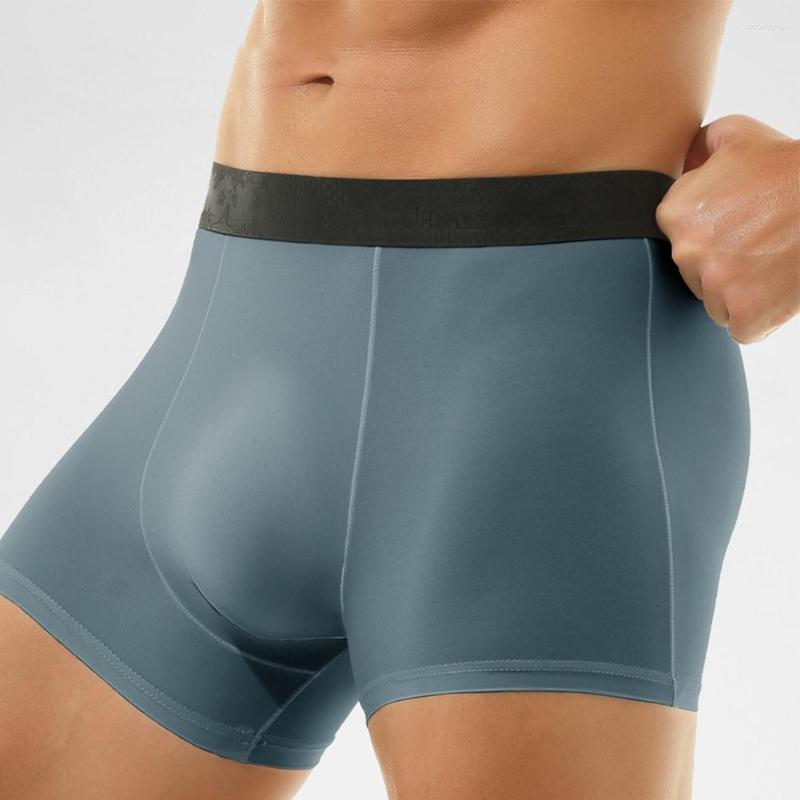 

Underpants Seamless Men Ice Silk Underwear Boxer Briefs Bulge Pouch Sexy Shorts U Convex Boxershorts Stretch Flat Boxers, Navy