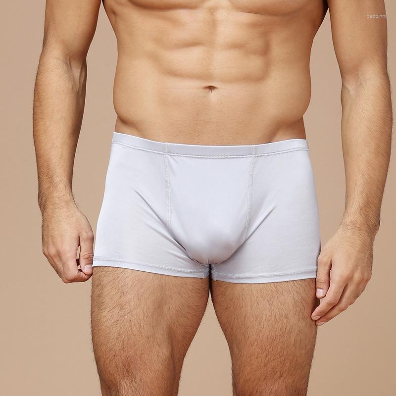 Underpants 1PC Mulberry Silk Men's Underwear Boxer Plus Size L XL 2XL 3XL HY008, Gray
Underpants 1PC Mulberry Silk Men's Underwear Boxer Plus Size L XL 2XL 3XL HY008, Gray