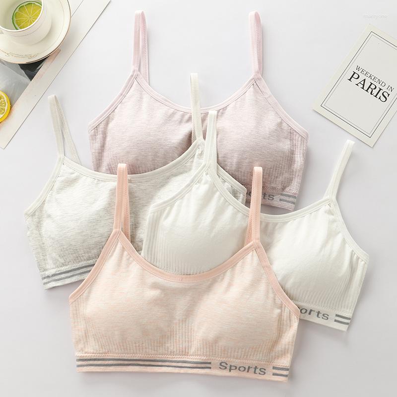 Camisoles & Tanks Young Girl's Development Vest Underwear 9-12 Cotton Sling ' 16-year-old High School Bra, Gray
Camisoles & Tanks Young Girl's Development Vest Underwear 9-12 Cotton Sling ' 16-year-old High School Bra, Gray