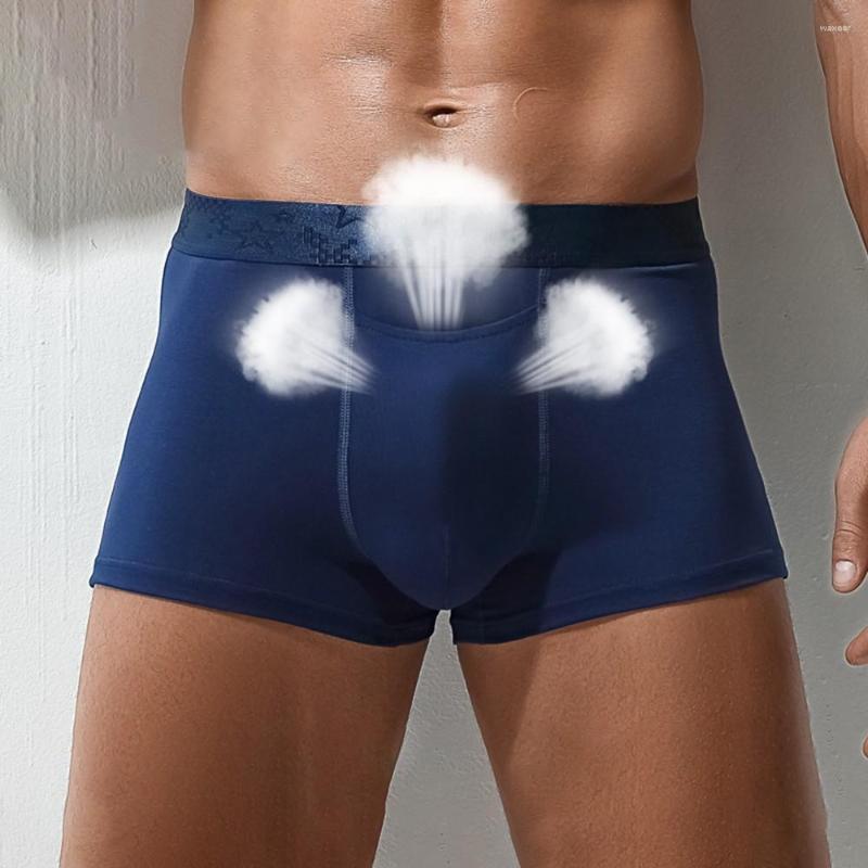 Underpants Men's Boxers Shorts Underwear Breathable Scrotum Support Bag Function Cellulose Fiber U Convex Separated Panties, Black
Underpants Men's Boxers Shorts Underwear Breathable Scrotum Support Bag Function Cellulose Fiber U Convex Separated Panties, Black
