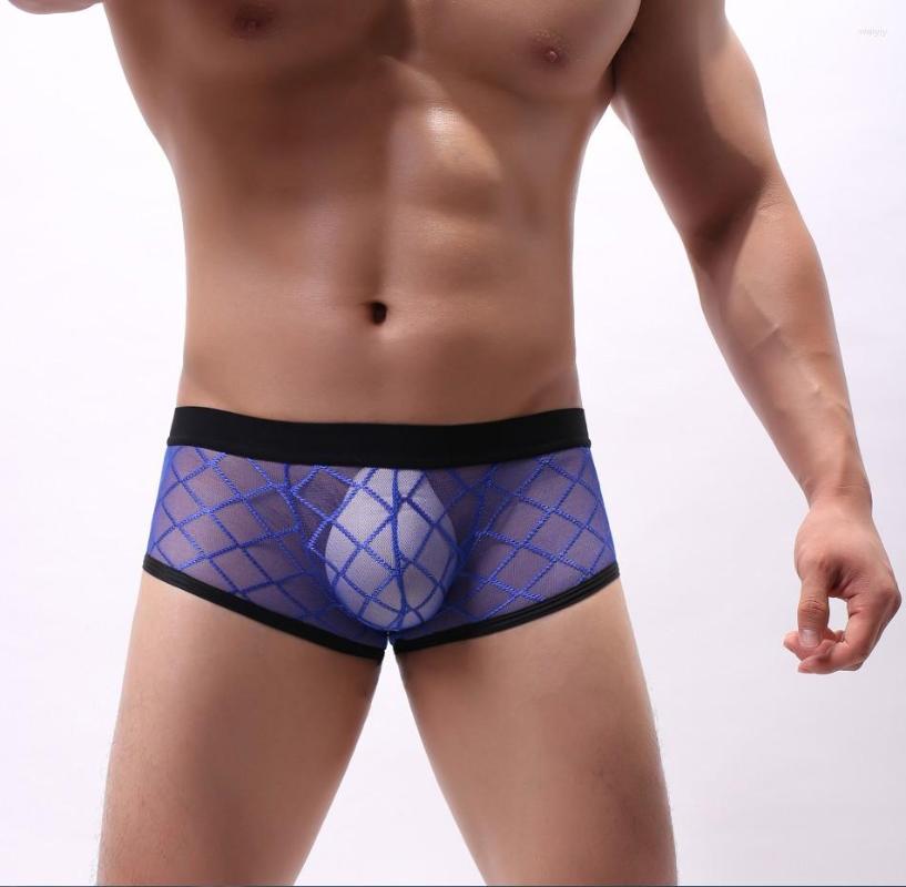 Underpants Sexy Breathable Thin Boxer Men Mesh Transparent See Through U-convex Underwear Lingerie Gay Low Rise, Black
Underpants Sexy Breathable Thin Boxer Men Mesh Transparent See Through U-convex Underwear Lingerie Gay Low Rise, Black