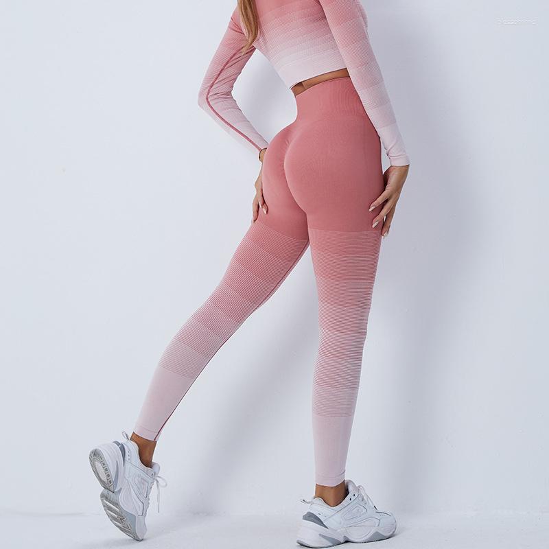 Women' Leggings Women Seamless Yoga Gym Fitness High Waist Sports Outdoor Sportswear Tights, Orange
Women' Leggings Women Seamless Yoga Gym Fitness High Waist Sports Outdoor Sportswear Tights, Orange