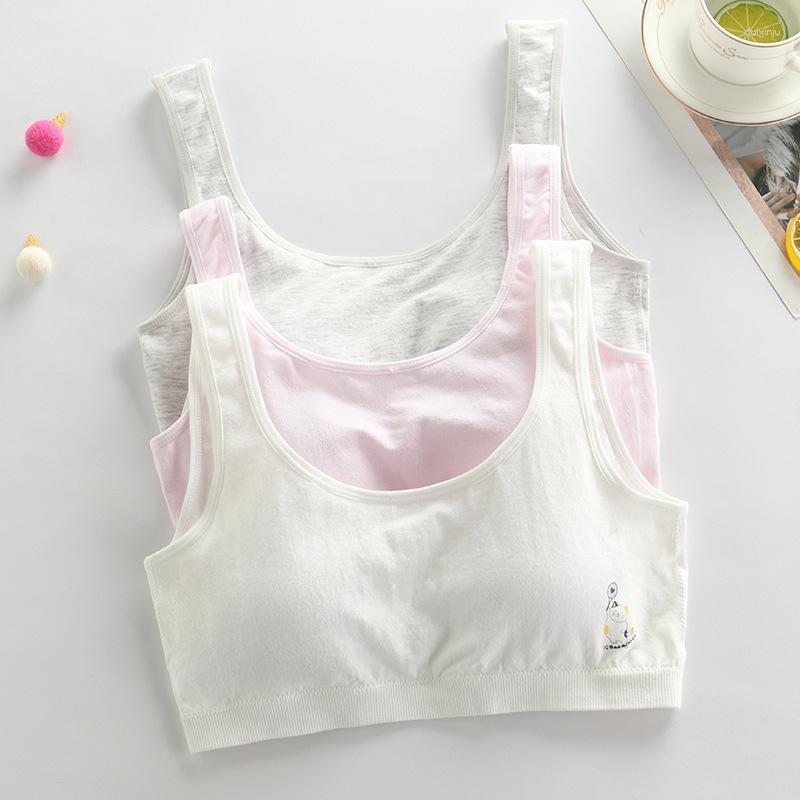Camisoles & Tanks Puberty Lingerie For Girls 15-16 Year Old Junior Vest Summer Girl Bra, Pink
Camisoles & Tanks Puberty Lingerie For Girls 15-16 Year Old Junior Vest Summer Girl Bra, Pink