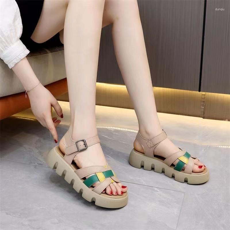 Sandals Women's Summer 2023 Ladies Luxury Platform Casual Walking Comfortable Fashion Footwear Female Shoes For Women, Green
Sandals Women's Summer 2023 Ladies Luxury Platform Casual Walking Comfortable Fashion Footwear Female Shoes For Women, Green