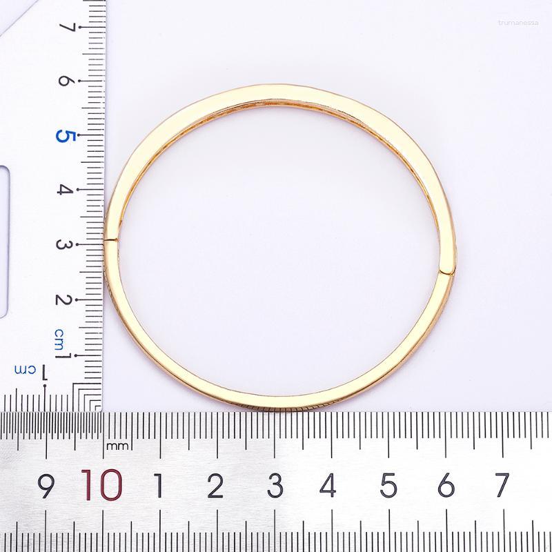 Bangle Luxury Women Zircon Bracelets Crystal For Female Minimalist Fashion Jewelry Birthday Year Gift Wholesale Raym22
Bangle Luxury Women Zircon Bracelets Crystal For Female Minimalist Fashion Jewelry Birthday Year Gift Wholesale Raym22