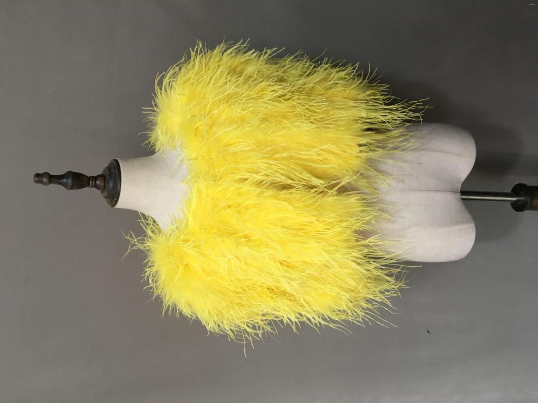 Scarves Stock On Sale Ostrich Feather Cape Shawl For Party Dinner Yellow Furry Fluffy Romantic Luxurious Bridsmaid Wedding
Scarves Stock On Sale Ostrich Feather Cape Shawl For Party Dinner Yellow Furry Fluffy Romantic Luxurious Bridsmaid Wedding