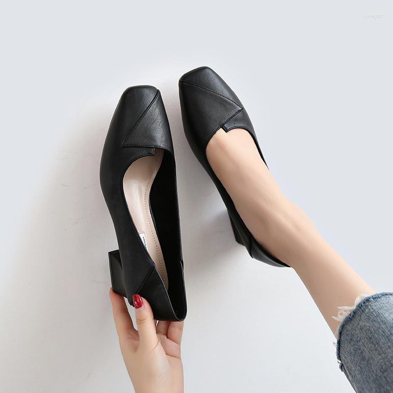 Dress Shoes Spring And Autumn Women's Single Thick Heel Middle Workplace Square Head Grandma Wl-b013, Black
Dress Shoes Spring And Autumn Women's Single Thick Heel Middle Workplace Square Head Grandma Wl-b013, Black