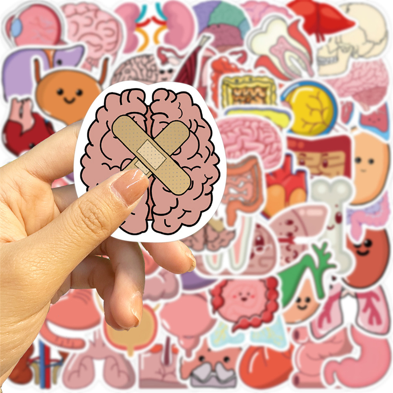 50Pcs Cartoon Human Organ Stickers Human Tissue Graffiti Kids Toy Skateboard Car Motorcycle Bicycle Sticker Decals