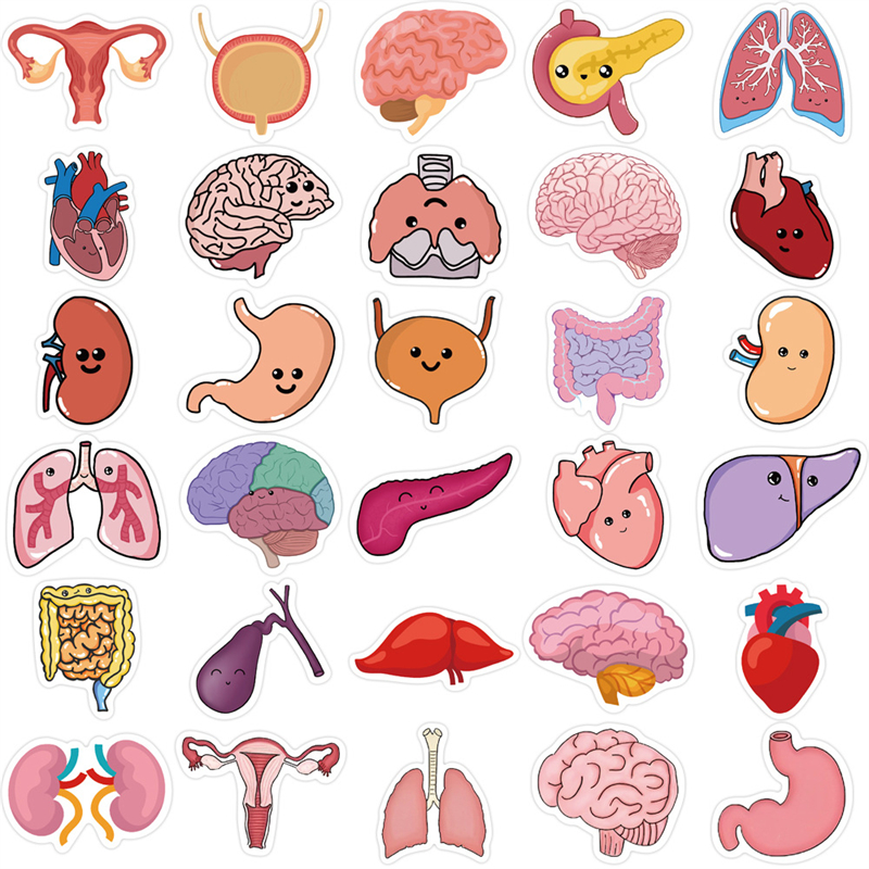 50Pcs Cartoon Human Organ Stickers Human Tissue Graffiti Kids Toy Skateboard Car Motorcycle Bicycle Sticker Decals