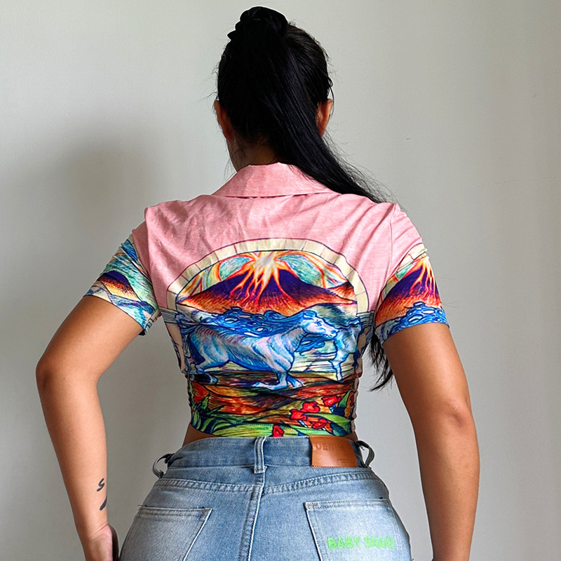 Women's T Shirts 2023 Beach Holiday Style Loose Top Landscape Print Short Crop Polo Collar Shirt T-Shirt