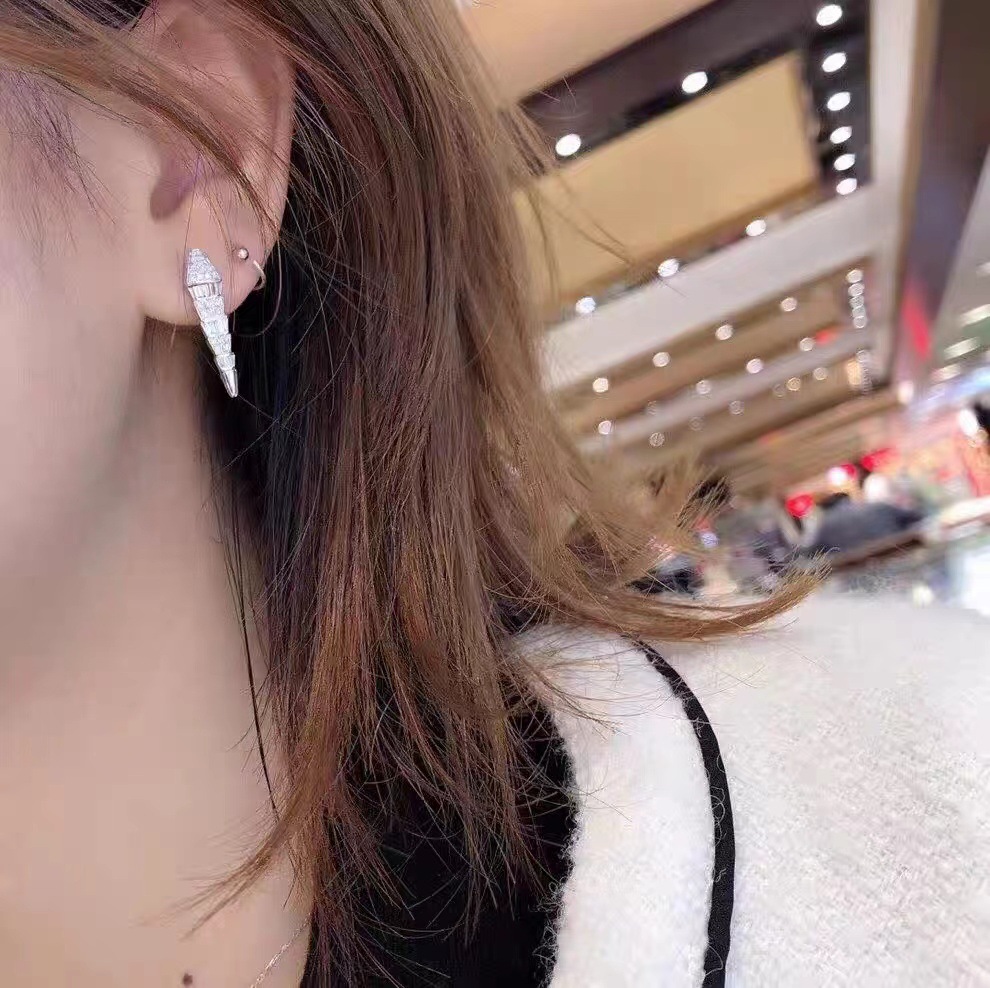 Choucong Brand Stud Earrings Luxury Jewelry 925 Sterling Silver Princess Cut White 5A Cubic Zircon Party Women Snake Earring for Lover Gift