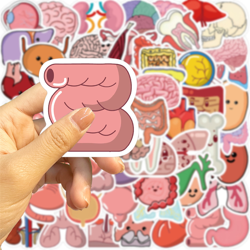 50Pcs Cartoon Human Organ Stickers Human Tissue Graffiti Kids Toy Skateboard Car Motorcycle Bicycle Sticker Decals