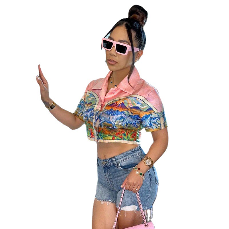 Women's T Shirts 2023 Beach Holiday Style Loose Top Landscape Print Short Crop Polo Collar Shirt T-Shirt