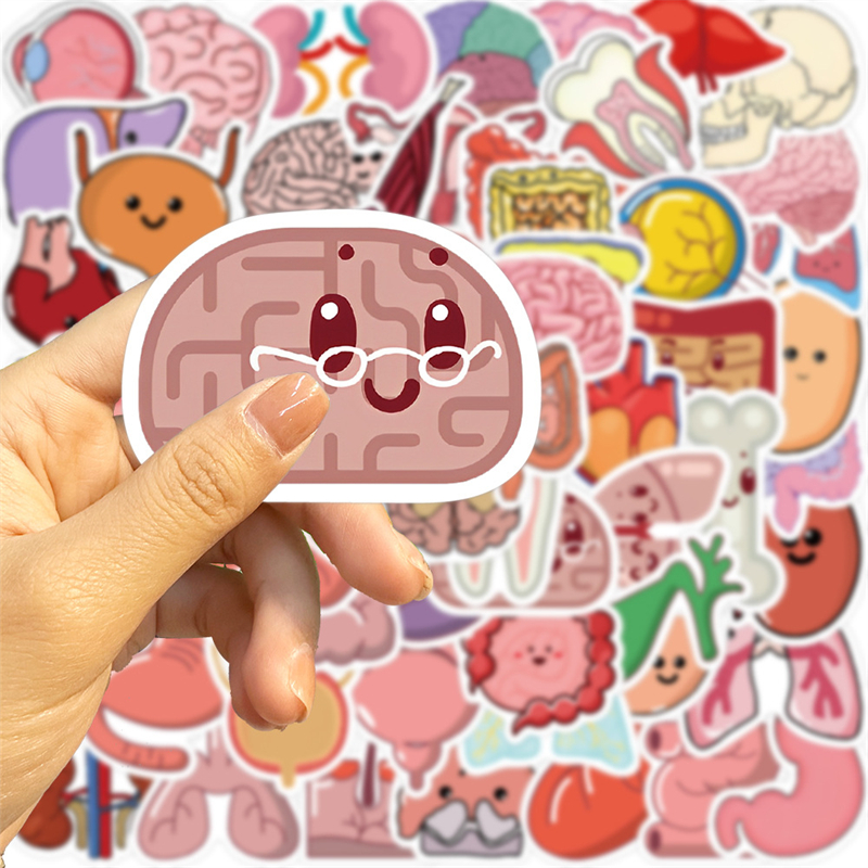 50Pcs Cartoon Human Organ Stickers Human Tissue Graffiti Kids Toy Skateboard Car Motorcycle Bicycle Sticker Decals