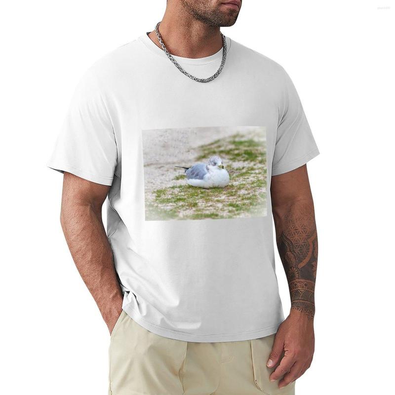 Men' Polos Do Not Disturb The Gull T-Shirt Hippie Clothes Blouse T Shirts For Men Graphic, Army green
Men' Polos Do Not Disturb The Gull T-Shirt Hippie Clothes Blouse T Shirts For Men Graphic, Army green