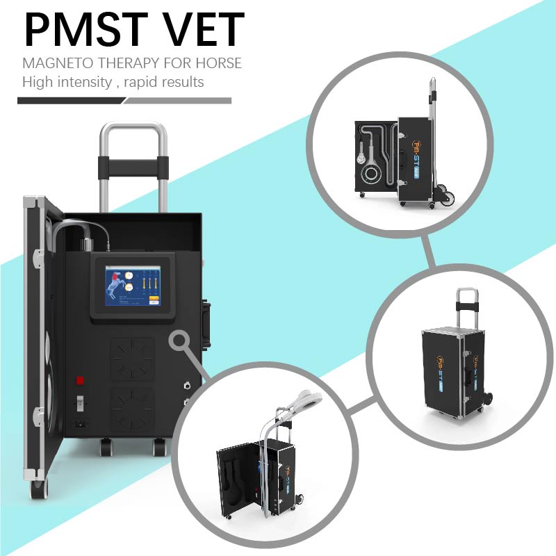 Equine PEMF Therapy 4 Tesla Magnetic With Infread For Horse Physiotherapy Machine
Equine PEMF Therapy 4 Tesla Magnetic With Infread For Horse Physiotherapy Machine