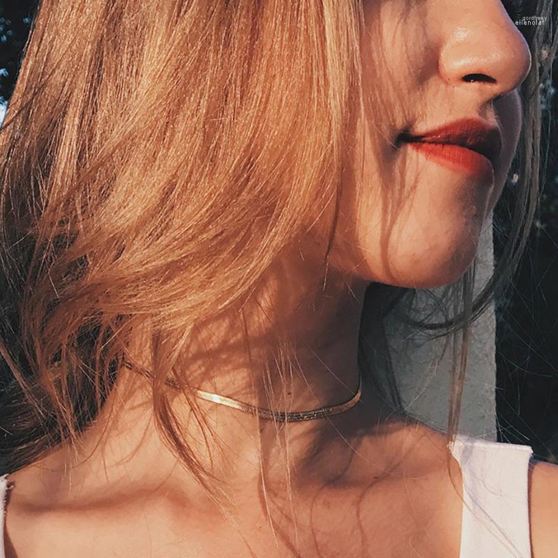 Choker ALIUTOM Fashion Women Clavicle Chain Necklace Gold Color Jewelry Statement Simple Neck Collares Gift
Choker ALIUTOM Fashion Women Clavicle Chain Necklace Gold Color Jewelry Statement Simple Neck Collares Gift