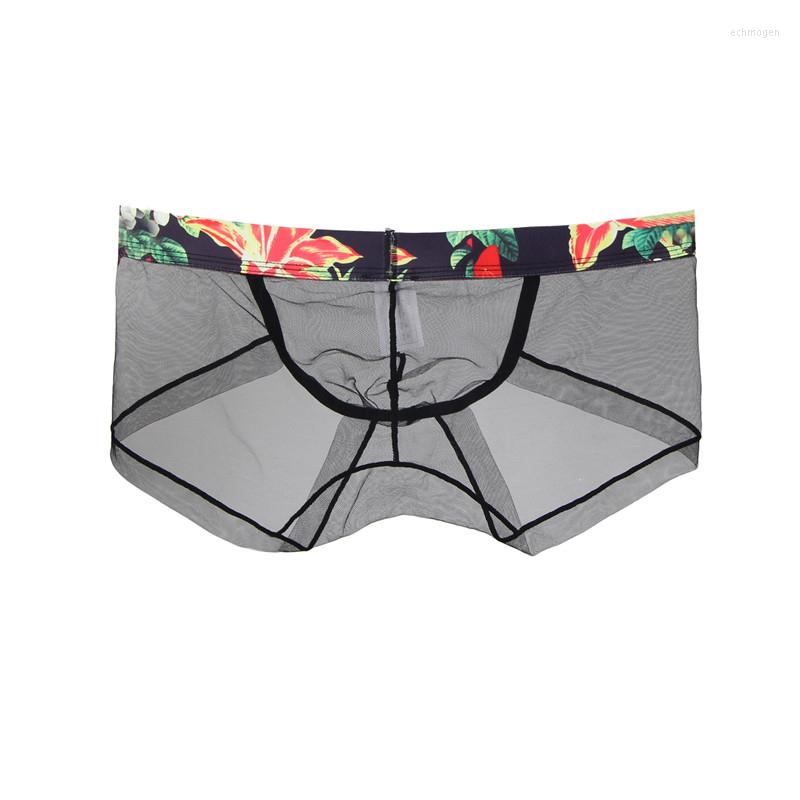 Underpants Ropa Interior Hombre Transparent Seamless Sexy Underwear Man Three Color Low Waist Mens Thin Men's Briefs MPS055, White boxer
Underpants Ropa Interior Hombre Transparent Seamless Sexy Underwear Man Three Color Low Waist Mens Thin Men's Briefs MPS055, White boxer