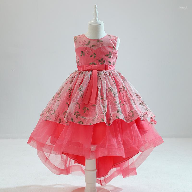 Girl Dresses Flower Girls Dress Tulle Kids Birthday Party Outfits High Low Sleeveless Embroidery Elegant Teen Princess, Champagne
Girl Dresses Flower Girls Dress Tulle Kids Birthday Party Outfits High Low Sleeveless Embroidery Elegant Teen Princess, Champagne