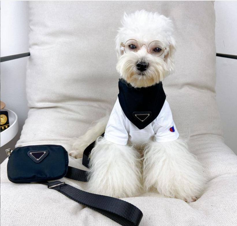 Designer Dog Collar Dog Leash Harness Casual Dog Traction Rope Pet Dog Small Dog Triangle Scarf Tie Collars Pet Supplies Dog Tie Y