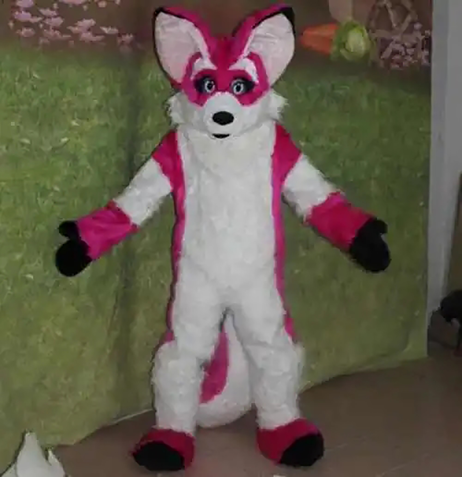 Pink Red Long Fur Furry Fox Wolf Husky Dog Mascot Costume Fursuit Adult Cartoon Annual Celebration Amusement Park, As picture
Pink Red Long Fur Furry Fox Wolf Husky Dog Mascot Costume Fursuit Adult Cartoon Annual Celebration Amusement Park, As picture