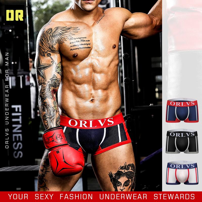 Underpants ORLVS Men Underwear Boxer Breathable Cueca Male Pantie 2 Color Boxershorts U Pouch Design Blue OR92, Or148-pink
Underpants ORLVS Men Underwear Boxer Breathable Cueca Male Pantie 2 Color Boxershorts U Pouch Design Blue OR92, Or148-pink